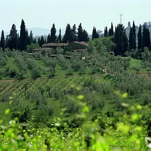 Fattoria Casa Sola , Barberino di Val dʼElsa Italië